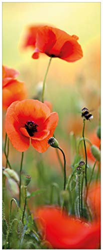 Wallario Glasbild Mohnblumenblüten - 32 x 80 cm Wandbilder Glas in Premium-Qualität: Brillante Farben, freischwebende Optik