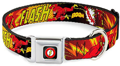 Buckle-Down 22,9–38,1 cm FLA-Flash Logo schwarz Hund Halsband