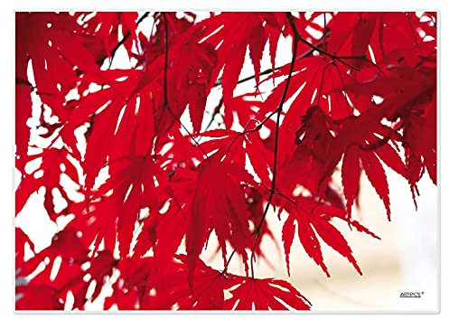 Artipics Tischsets Japanischer Ahorn Platzsets Abwaschbar Kunststoff 4 Stück