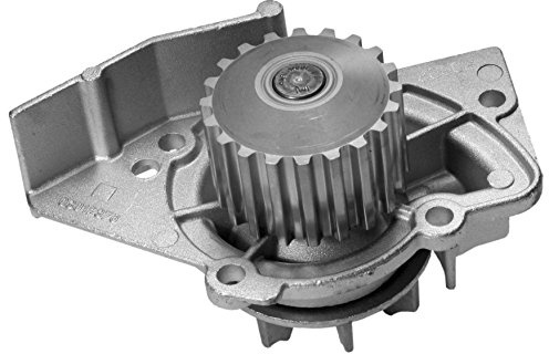 Magneti Marelli 350981713000 Wasserpumpe | Kompatibel mit: CITROËN BERLINGO / BERLINGO FIRST Großraumlimousine (MF_, GJK_, GFK_