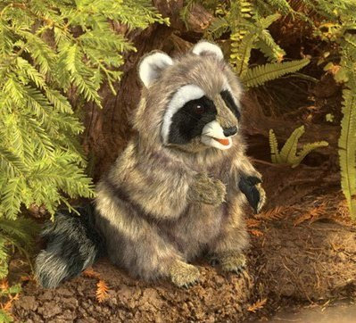Teddys Rothenburg Folkmanis, Handpuppe, Waschbär, 33 cm, grau, Plüschhandpuppe