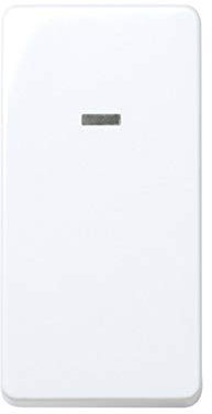 Simon 27134-64 - Interruptor Bipolar 16Ax Con Piloto Embornamiento A Tornillo