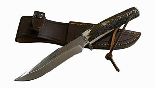 ELECTROPOLIS Cuchillo de Caza Muela Pointer POINTER-13A, puño de asta de Ciervo y Defensa latón, Hoja MOVA de 13 cm + Tarjeta Multiusos de Regalo