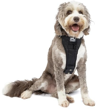 Kurgo Enhanced Strength Tru-Fit Dog Car Harness, Crash Tested, Steel Nesting Buckles, Includes Seatbelt Tether, Extra Large-Black