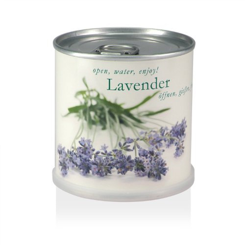MacFlowers | Kleines Anzuchtset mit echtem Lavendel | Geschenk Set mit Einer Sorte Saatgut in süßer Blumendose