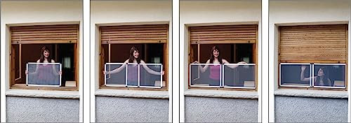 Genérico 5510D20 - Mosquitera Fija Exterior 70/132X50 Cm