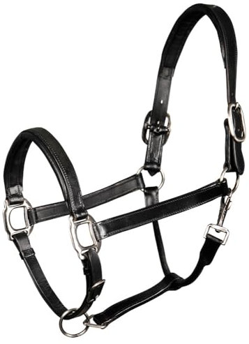 Harry's Horse Halster Leder, Padded, Farbe:schwarz, Größe:Full