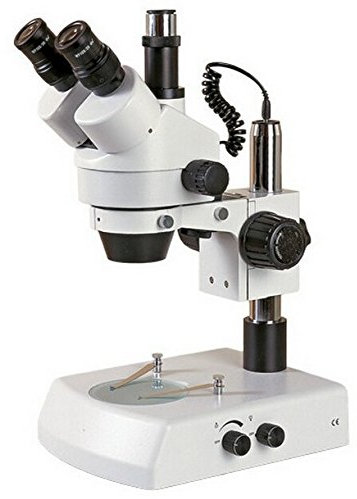 Gowe Binokular Stereo Biologie Mikroskop Binokular betrachten Mikroskop Body