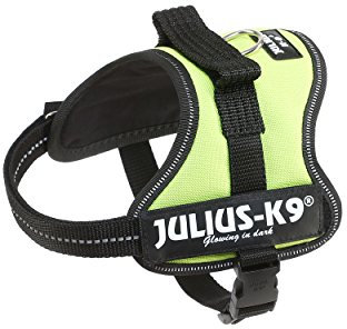 Trixie Julius-K9 Powergeschirr Gr.Mini-Mini (XS) neon, schwarz
