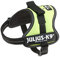 Trixie Julius-K9 Powergeschirr Gr.Mini-Mini (XS) neon, schwarz