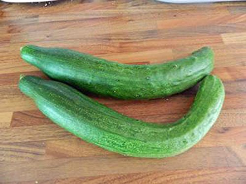 Cucumber, Long Green Improved, Heirloom, 20 Seeds, Great for Any Veggie Plate