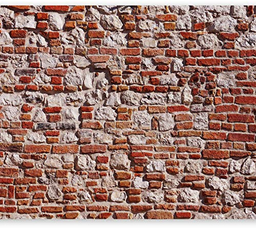Fototapete murando 300x210 cm Vlies Tapeten Wandtapete XXL Moderne Wanddeko Design Wand Dekoration Wohnzimmer Schlafzimmer Büro Flur Ziegel Mauer Ziegelstein Beton f-A-0534-a-a
