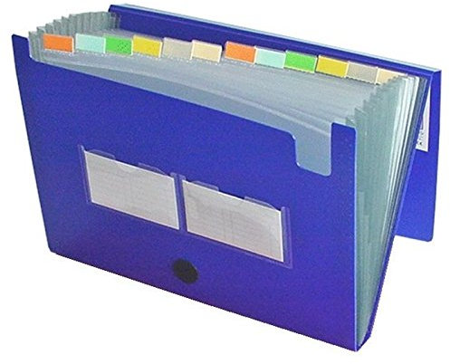 EXXO by HFP 41227 Fächertasche passend für A4 Unterlagen, 12 Fächer, aus PP, dehnbare Fächer, mit Klarsicht-Taben, Klettverschluss und Namensschildtaschen, Farbe: blau – 1 Stück