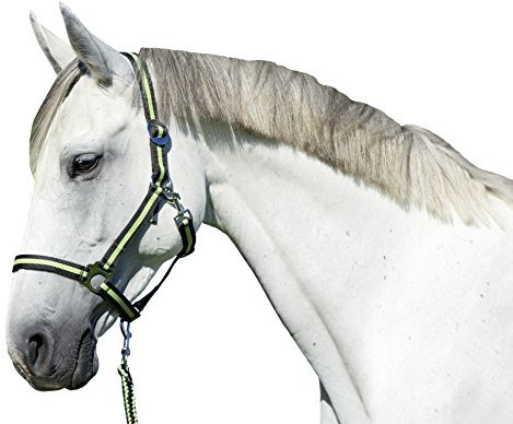 Kerbl Nylonhalfter Hippo, Halfter Nylon großes Warmblut, Anthrazit/Lemon