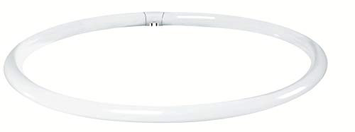 Paulmann Ringform - Röhre 40W