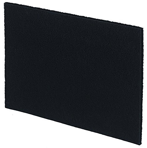 Fellowes 9406402 Filtro al Carbone per Purificatore d'Aria Modello Aeramax PT65, Confezione da 2 Pezzi