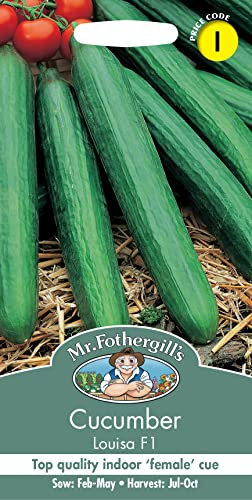 Mr Fothergill's Cucumber Louisa F1