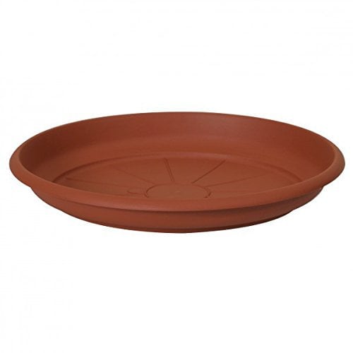 CIS ø 55 per vaso ø 65