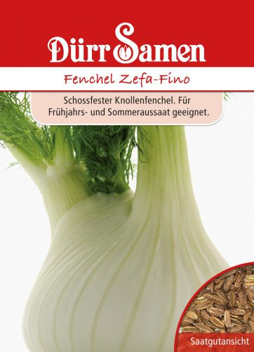Fenchel Samen Zefa-Fino Fenchelsamen Schossfest ca 150 Korn Saatgut Gemüse Garten Hochbeet Gewächshaus Dürr Samen