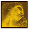 CUERDA VIOLONCELLO - Pirastro (Evah Pirazzi Gold 335420) (Tungsteno) 4ª Medium Cello 4/4 (Do) C