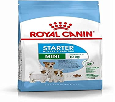 Royal Canin Mother And Babydog Mini-Starter für kleine Hunde