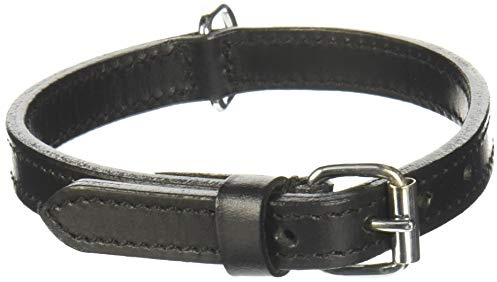 Trixie Active Halsband