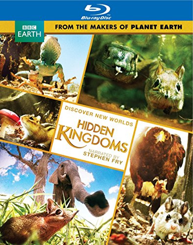 Hidden Kingdoms (Original UK Version of Discovery’s Mini Monsters) (BD)