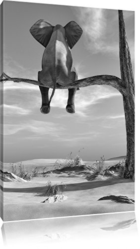 Pixxprint Elefant auf einem AST in der Wüste, Größe: 60x40cm, Leinwandbild, fertig gespannt, Wandbild, Dekoration, Kunstdruck, kein Poster