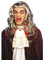 NET TOYS Lange Vampir Perücke Dracula Halloween Draculaperücke Halloweenperücke Twilight grau lang, Einheitsgröße, Kunsthaar