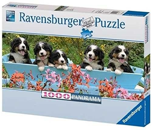 Ravensburger 15116 - Berner Sennenhunde - 1000 Teile Panorama Puzzle