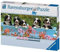 Ravensburger 15116 - Berner Sennenhunde - 1000 Teile Panorama Puzzle