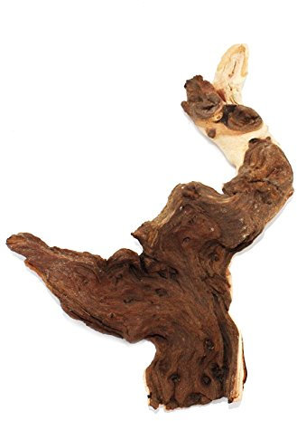 Mopani Racine Taille M 18-22 cm