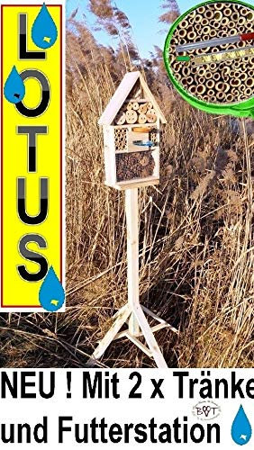 INSEKTENHOTEL,LOTUS-AUSFÜHRUNG (mit wasserabweisender Oberfläche), MIT 2 x SICHTGLAS ca. 8 mm und 11 mm (2 BEOBACHTUNGSRÖHRCHEN aus Glas, mit Zellstoff-Verschluss und Anflughilfe) MIT STÄNDER UND TRÄNKE SD und FUTTERPLATZ, Futterstelle, XXL viele Farben Insektenkasten farbige Nistkästen Holz Insekten,Insektenkasten, Insektenhaus, funktionelle Garten Deko passend zum Vogelhaus oder Vogelhäuschen