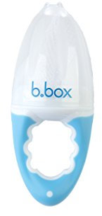BBOX Fresh Food Mesh Feeder (Blueberry) by Bbox
