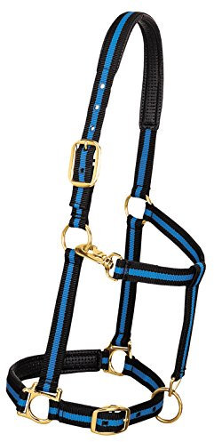 Weaver Leather Halfter für Pferde, gepolstert, verstellbar, Nylon, 2,5 cm, Blau