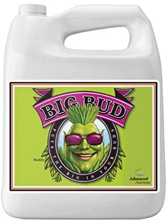 Advanced Nutrients GL525050-12 Fertilizzante Liquido Big Bud, 250 mL.250 Litri, Marrone/A