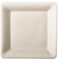 PAPSTAR 50 Teller, Zuckerrohr pure eckig 15,5 cm x 15,5 cm weiss Bio Einwegteller