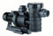 Astralpool Bomba Centrífuga de Plástico Maxim Maxim 3,5 CV III