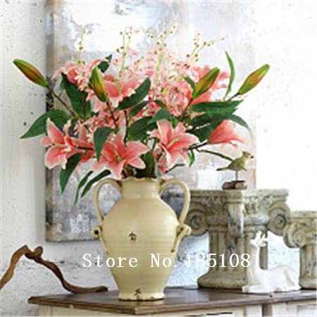 Große Förderung New Lilie Pflanzen Indoor-Bonsai Parfüm Liliensamen Lilie Blumensamen - 100 Samen