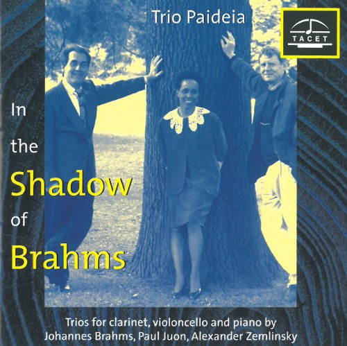 Im Schatten Von Brahms 1