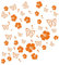 kleb-drauf | 19 Blüten, 19 Schmetterlinge und 42 Punkte | Orange - matt | Wandtattoo Wandaufkleber Wandsticker Aufkleber Sticker | Wohnzimmer Schlafzimmer Kinderzimmer Küche Bad | Deko Wände Glas Fenster Tür Fliese