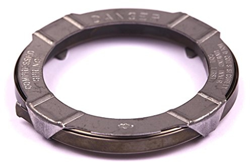 Briggs and Stratton Genuine 490179 Rewind Starter Spring