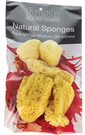 Frisk 50 mm Standard Sponge, Pack of 5, Natural, Yellow
