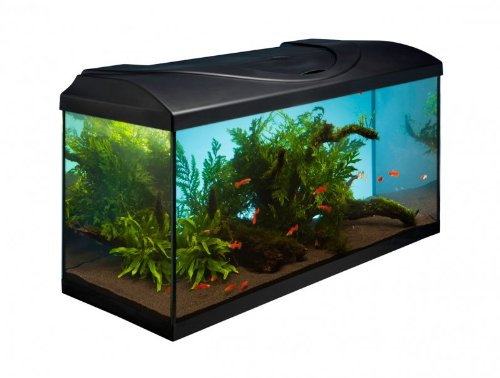 Komplett Aquarium Set 80x35x40 cm 112 L D 80 35 40