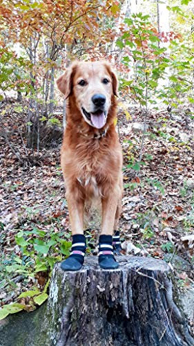 Bark Brite Alle Wetterneoprenpfotenschutz Hundeschuhe Mit Reflektierenden Straps- (Lg (3.5 In.)) Reise Reißverschlussetui Enthalten