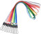 wisdompro Schlüsselband Lang 10 Stück, Abnehmbarer Schlüsselbänder Bunt, Lanyard für USB Stick, Schlüssel, Ausweishülle, Tragbarer Kleiner Ventilator und Kleine Taschenlampe usw.