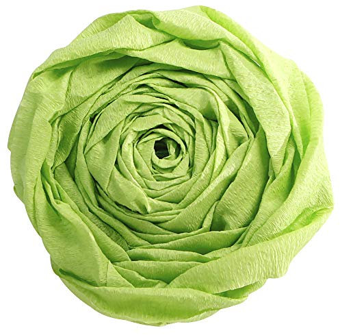 Clairefontaine 901019C Packung mit 10 Bögen Krepppapier, 2 x 0,5m, ideal für Schulaktivitäten, 1 Pack, apfelgrün