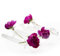Chive – Kleine transparente Glasvase für kurze Blumen, einzigartige Blumenvase für Heimdekoration, Hochzeiten, Blumenarrangements, Events, Gedecke. Modern Set of 6 Tube farblos