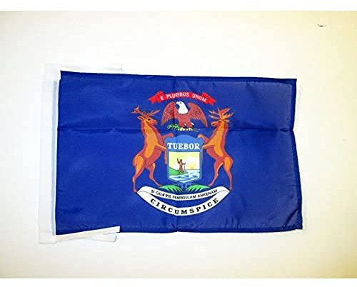 AZ FLAG - Flagge Michigan - 45x30 cm Mit Kordel - Bundesstaat Michigan Fahne 30 x 45 Cm - Flaggen