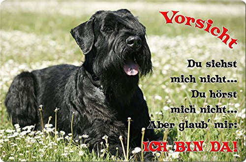 Nanyuk +++ Schnauzer Riesenschnauzer - Metall Warnschild Schild Hundeschild Sign - SNZ 08 T2
